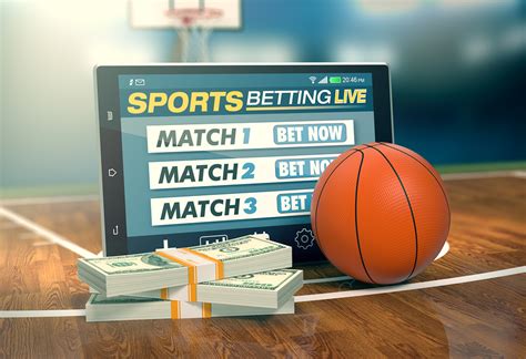 pay per head bookie Software and Reporting